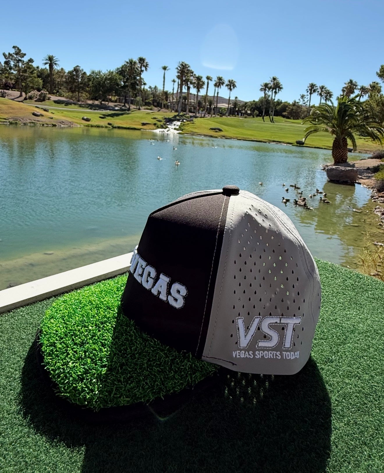 Las Vegas Sports Today™ x Turf Caps™ Collab